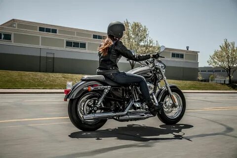 Harley sportster