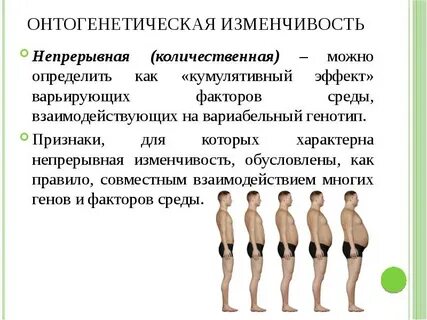 Собственный объем и изменчивость формы