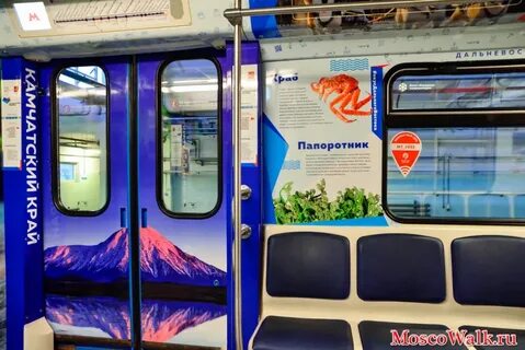Метро дальневосточная
