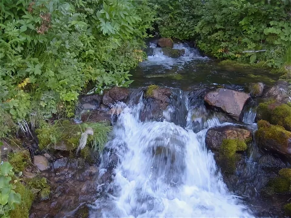 Родники пермский край. Ермаков Родник Чердынский Пермский край. Родник Пермь. Водопад Чердынские камни Саратов фото.