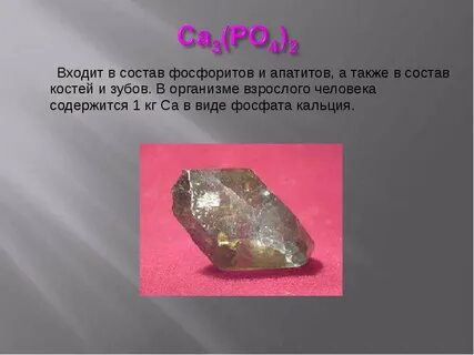 Фосфориты и апатиты