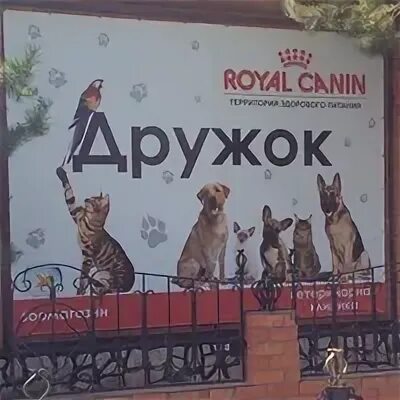 Ветклиника оренбург дружок. Ветклиника оренбург дружок. Ветклиника оренбург дружок. Дружок оренбург ветклиника. Ветклиника дружок волгоград краснооктябрьский.