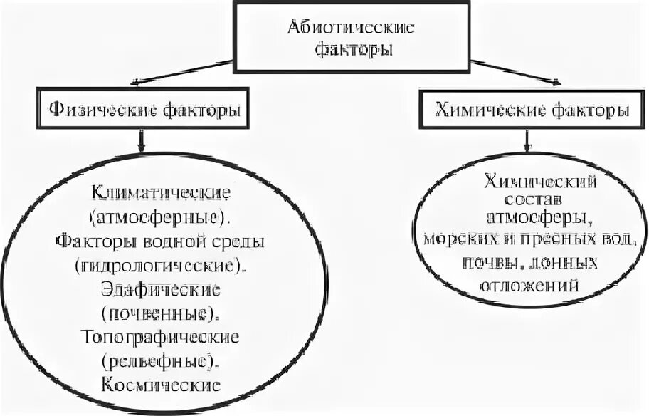 Классификация абиотических факторов. Абиотические факторы таблица. Абиотические факторы среды таблица. Абиотические факторы подразделяются на.