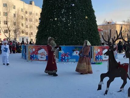 Амурская область новый год