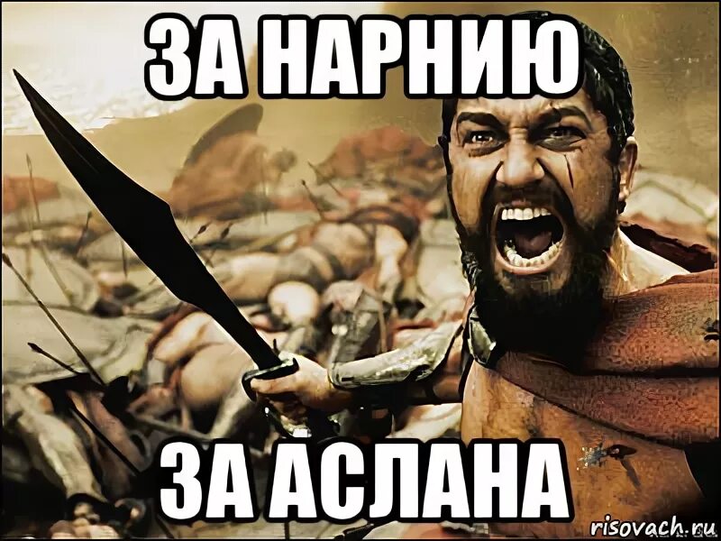 Аслан борсов не звони. Аслан мем. мемы про аслана. за нарнию за аслана. приколы про аслана.