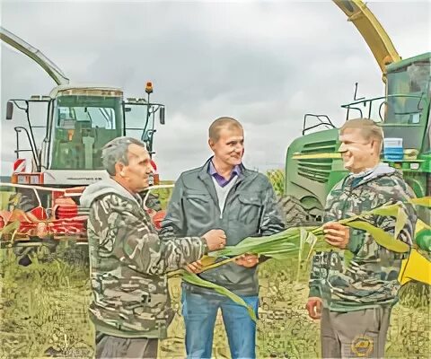 Директор ооо согласие. ООО согласие Липецкая область Измалковский район. СХПК Тележенка Липецкая область. КРС Тележенка Липецкая область. АГРОГАРД Липецк Тележенка.