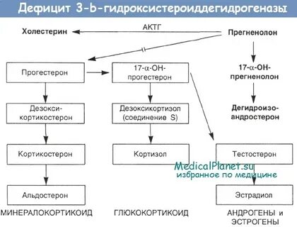 Врожденная гиперплазия коры надпочечников