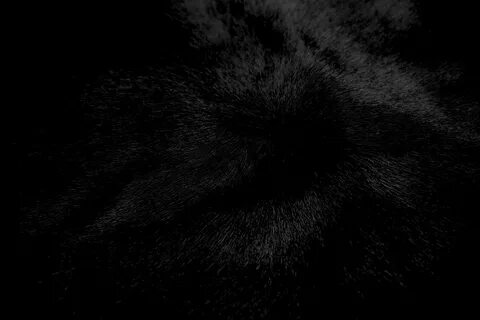 Black searched