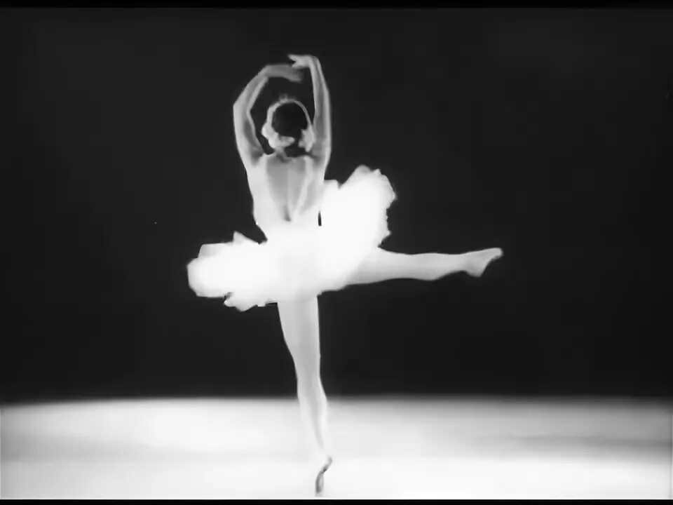 Майя плисецкая лебедь видео. Майя плисецкая балет лебединое озеро. плисецкая и григорович. марис лиепа и майя плисецкая. майя плисецкая черный лебедь.