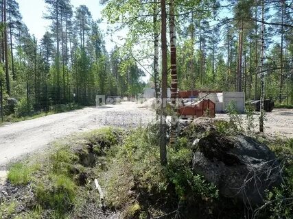 Снт поляна ленинградская область