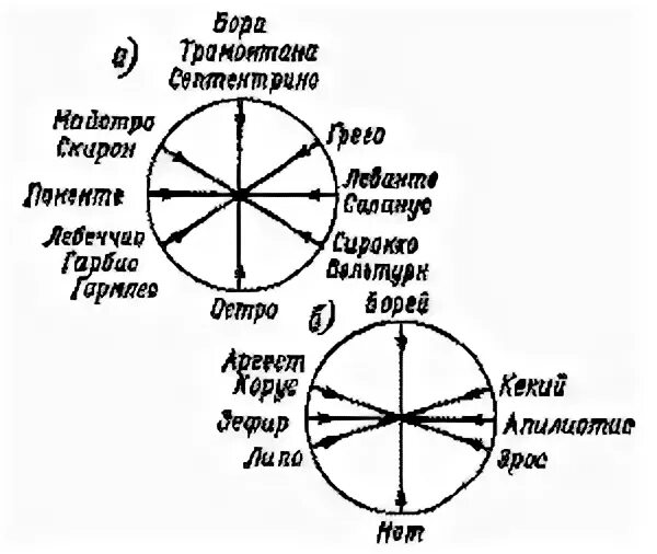 Укажите названия ветров