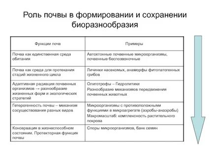 3 функции почвы