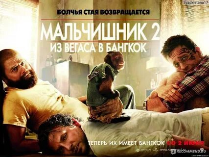 Мальчишник 2011