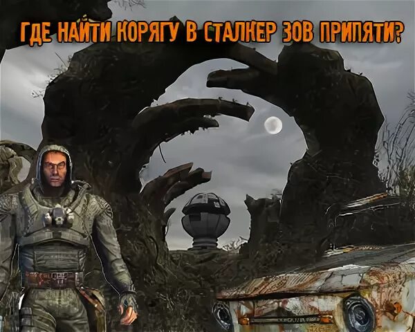 Где найти корягу в зов припяти. Где найти корягу в зов припяти