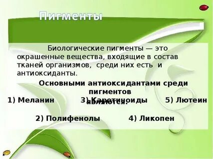 Пигменты организма