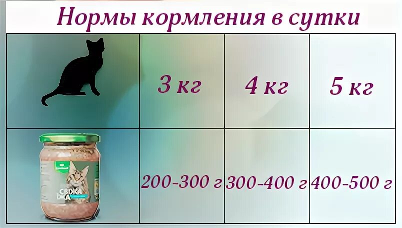 Сколько надо кормить кошку. Норма питания для кошек. Норма суточной нормы еды для кошек. Суточная порция корма для кошек. Норма натурального корма для кошки.