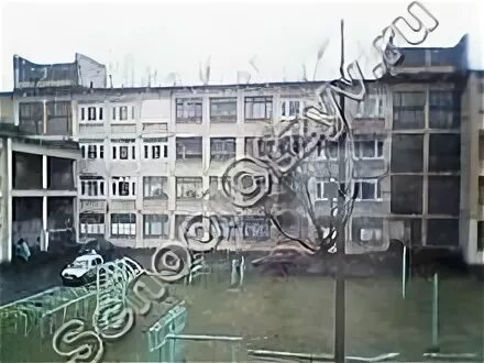 Школа 28 санкт петербург