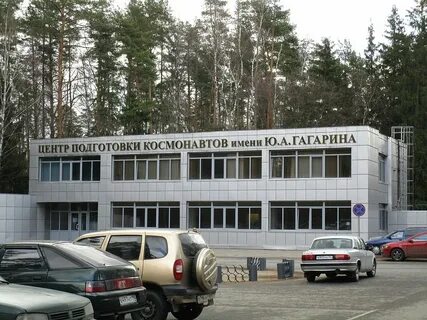 Цпк ростов на дону