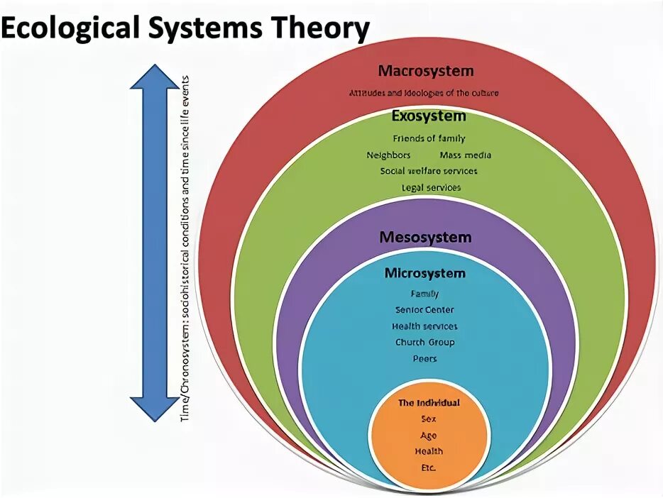 Бронфенбреннер экологическая модель. System Theory. Ecological System Theory. Social ecological Theory. Systems theory