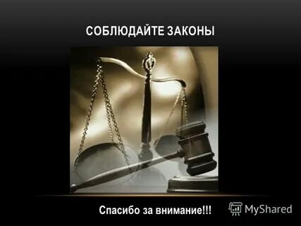 Закон благодарности