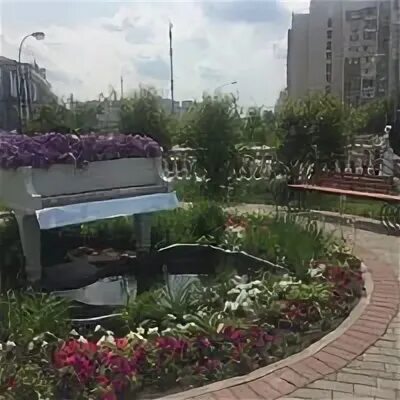 Моцарт северное бутово
