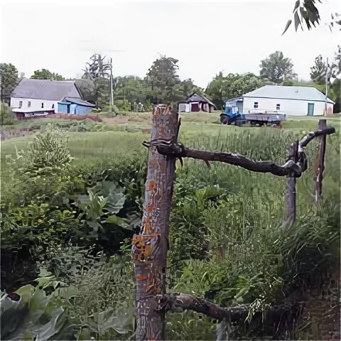 Липецкая область, р-н краснинский, д корытное. Погода дегтевая краснинский липецкая. Липецкая область деревня александровка. Липецк деревня федянино. Деревня дегтевое липецкая область.