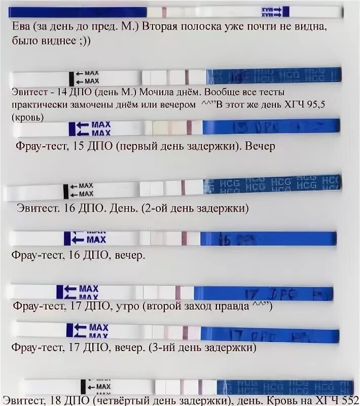 Задержка неделю отзывы. Тесты определяющие беременность до задержки месячных. 1 День задержки покажет ли тест беременность. Тест на беременность после 1 дня задержки месячных. Тесты после задержки по дням.