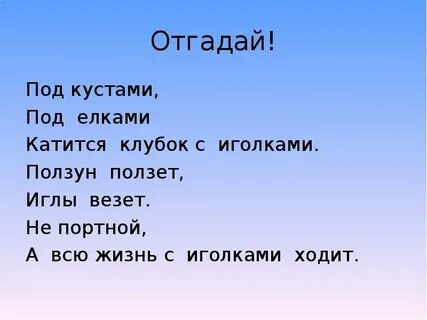 Всю жизнь с иголками ходит