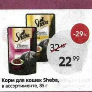 Кошачьи корма в пятерочке. Кошачьи корма в пятерочке. Корм для кошек из пятерочки. Пятерочка корм. Пурина one для кастрированных кошек.