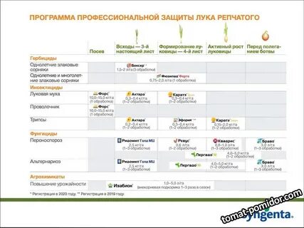 Профессиональная защита программ