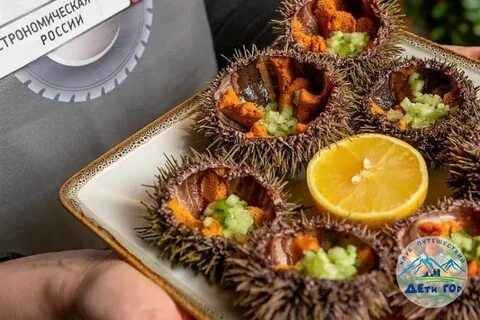 Арктическая кухня мурманск