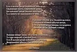 В течение всей ночи лил дождь