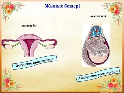 Италияның Милан қаласындағы жезөкшелер
