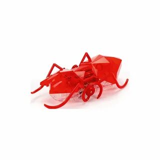 Ant отзывы
