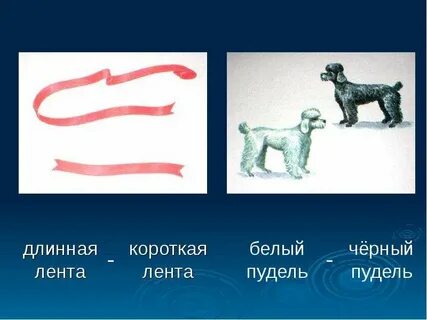 Антонимы короткий