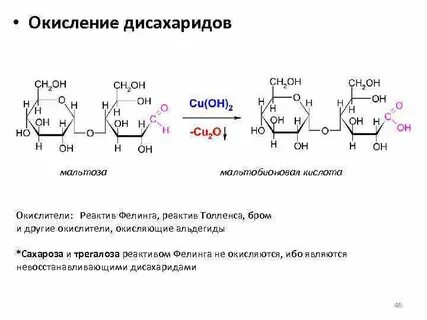 Мальтоза это моносахарид