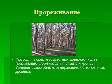 Прореживание