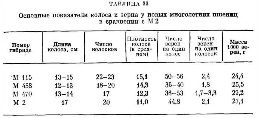 Число зерен в Колосе озимой пшеницы. Число зерен в Колосе ячменя. Колос ржи количество зёрен. Вес Колоса пшеницы.