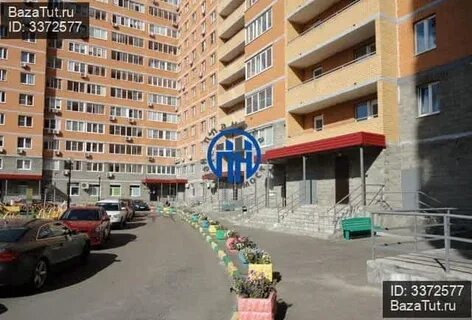 Королев декабристов