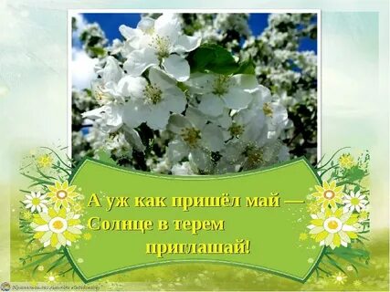 Пришел май