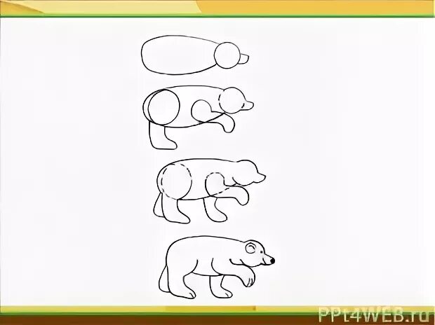Медведи схема 1 класс