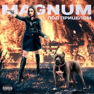 Песни под прицелом