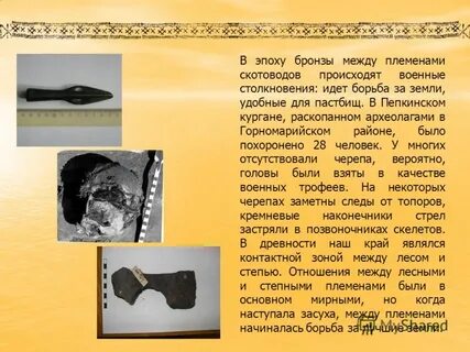 Эпоха бронзы племена