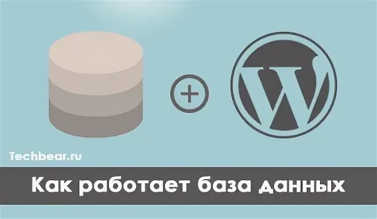 Посмотри базу