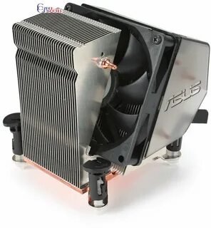 Asus cooler