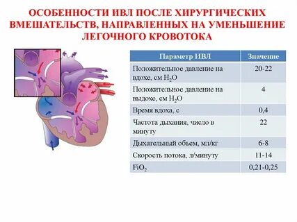 Порок характеристика