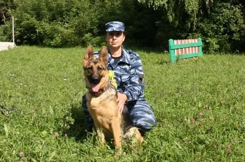 Занятия кинолога с собакой