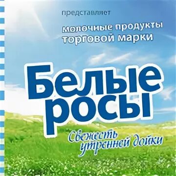 Молоко белые росы