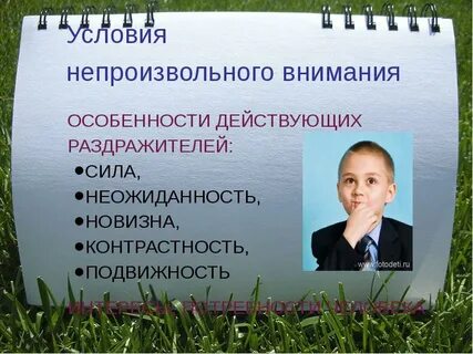 Внимание на особенности данной