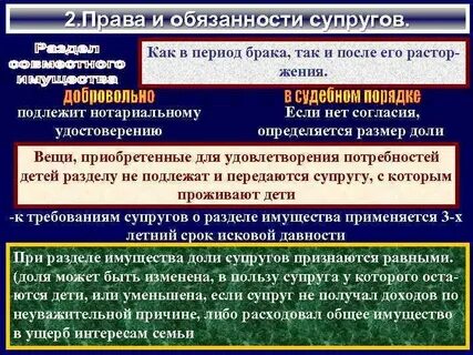 Совместные обязанности